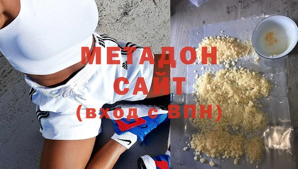индика Осинники