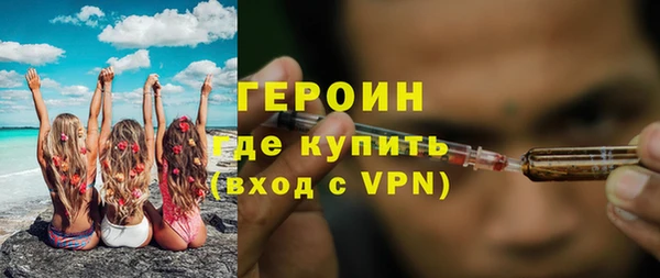 индика Осинники
