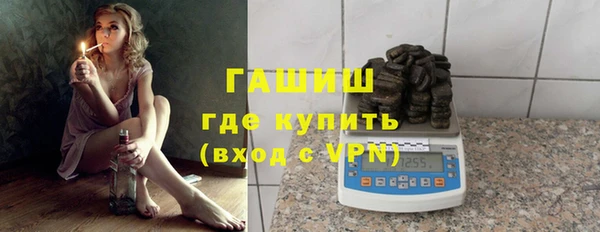 индика Осинники
