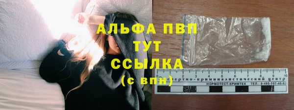 индика Осинники