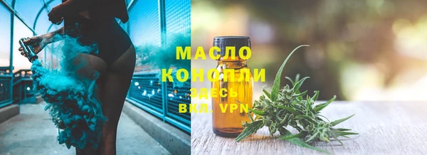 индика Осинники