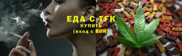 индика Осинники