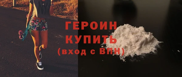 индика Осинники