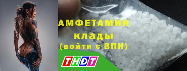 индика Осинники