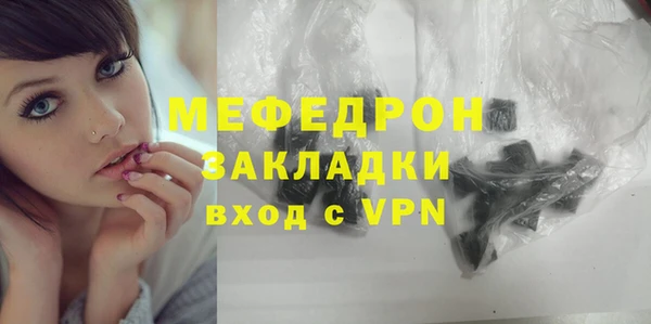 индика Осинники