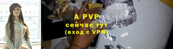 индика Осинники