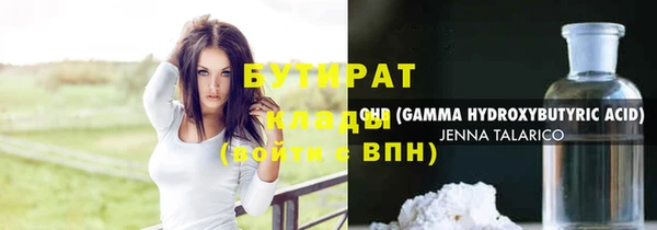 индика Осинники