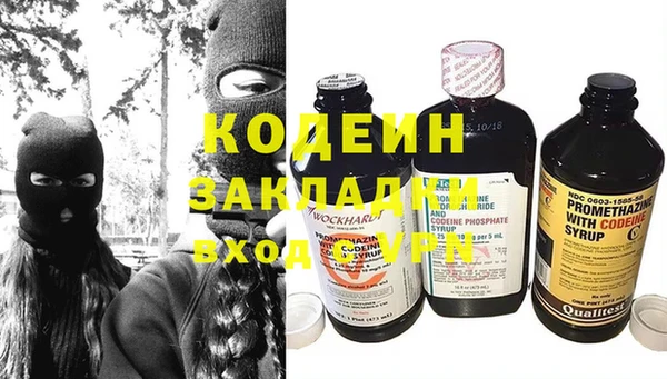 индика Осинники