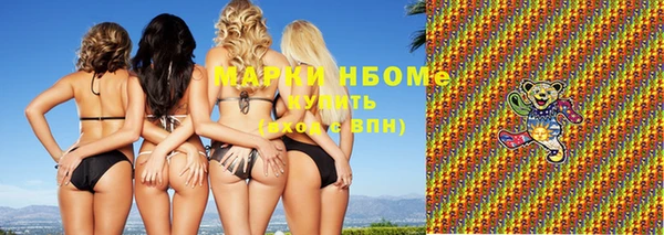 индика Осинники