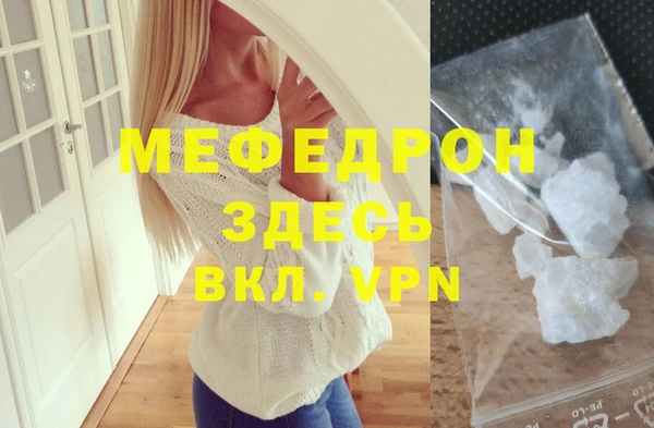 индика Осинники