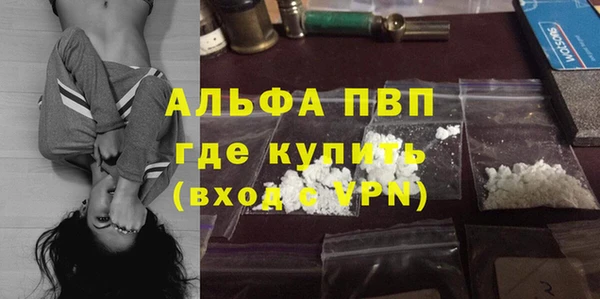 индика Осинники