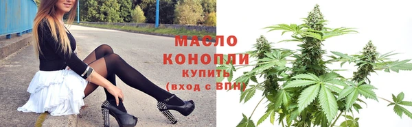 индика Осинники